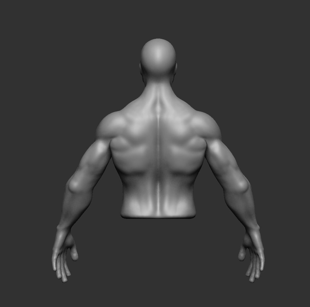 Muscular man body 3D model_1