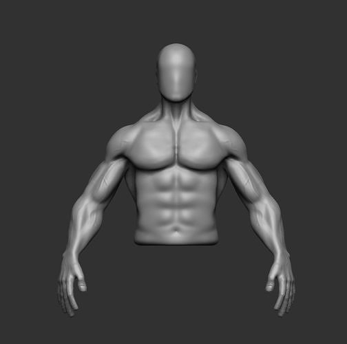 Muscular man body 3D model