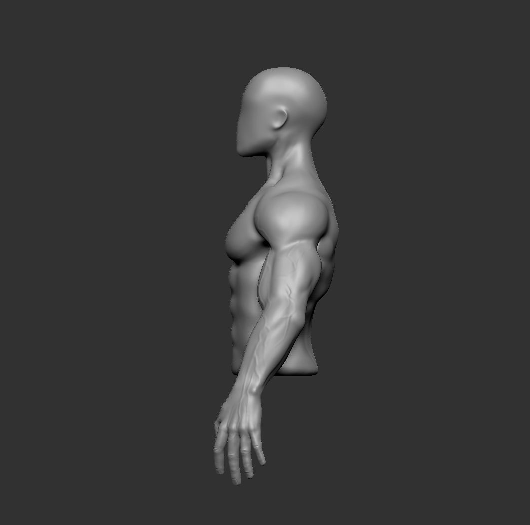 Muscular man body 3D model_2