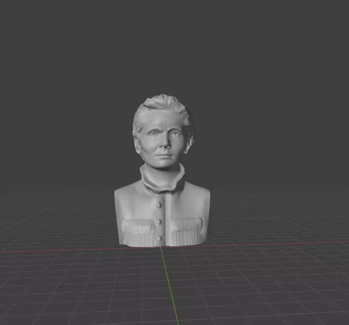 Marie Curie  3D print model_0