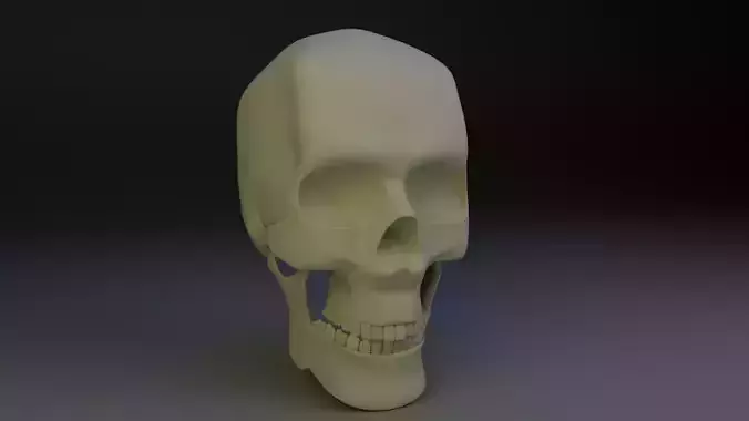 skull low poly 3Dmodel human Low-poly 3D model