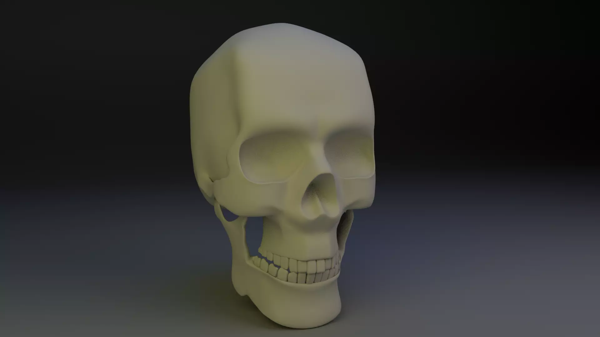 skull low poly 3Dmodel human Low-poly 3D model_0