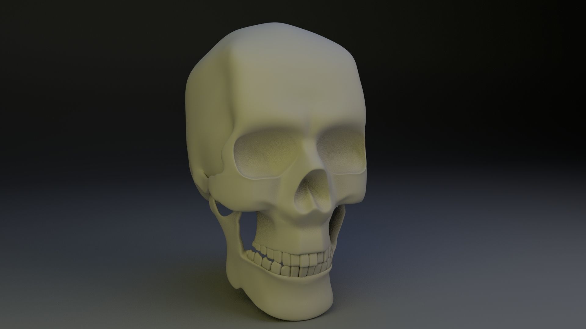 skull low poly 3Dmodel human Low-poly 3D model_1