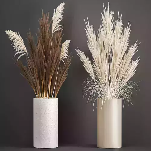 Decorative Bouquet of dried pampas grass 194