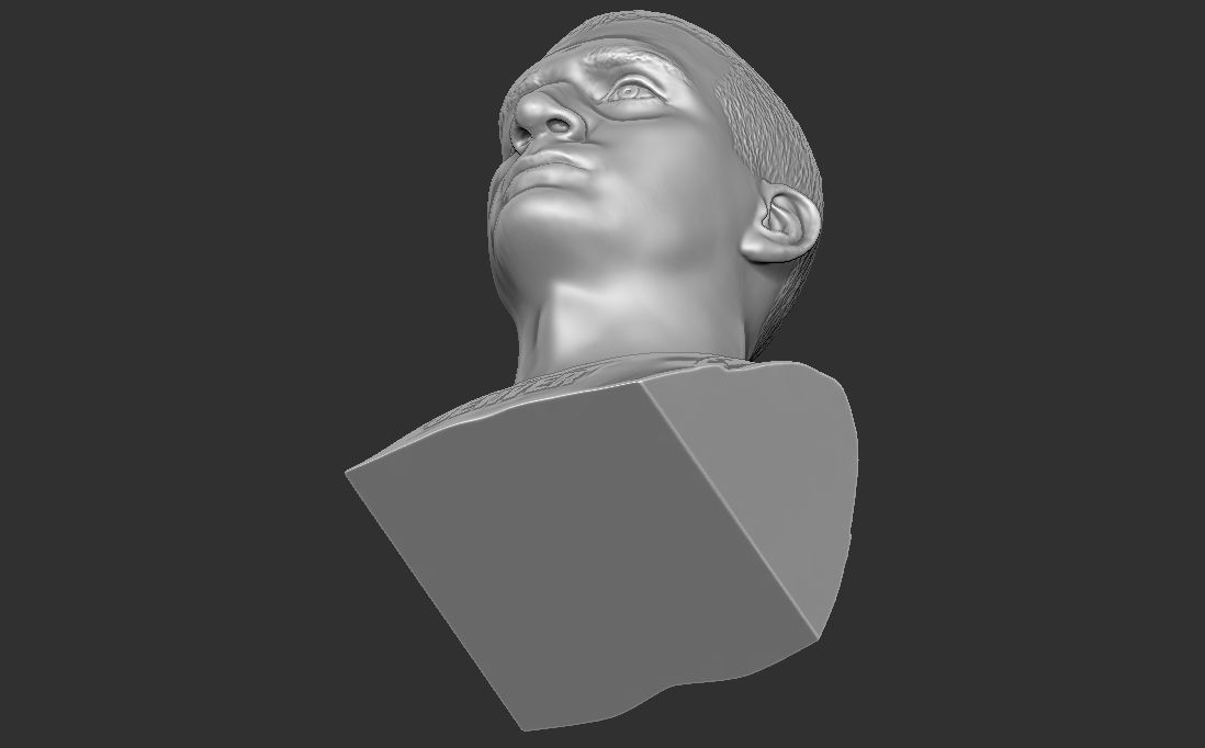 Nikola Jokic bust for 3D printing 3D print model_23