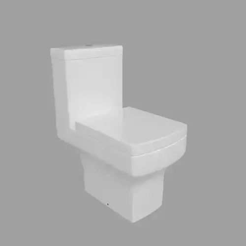 Water Closet Modern Design
