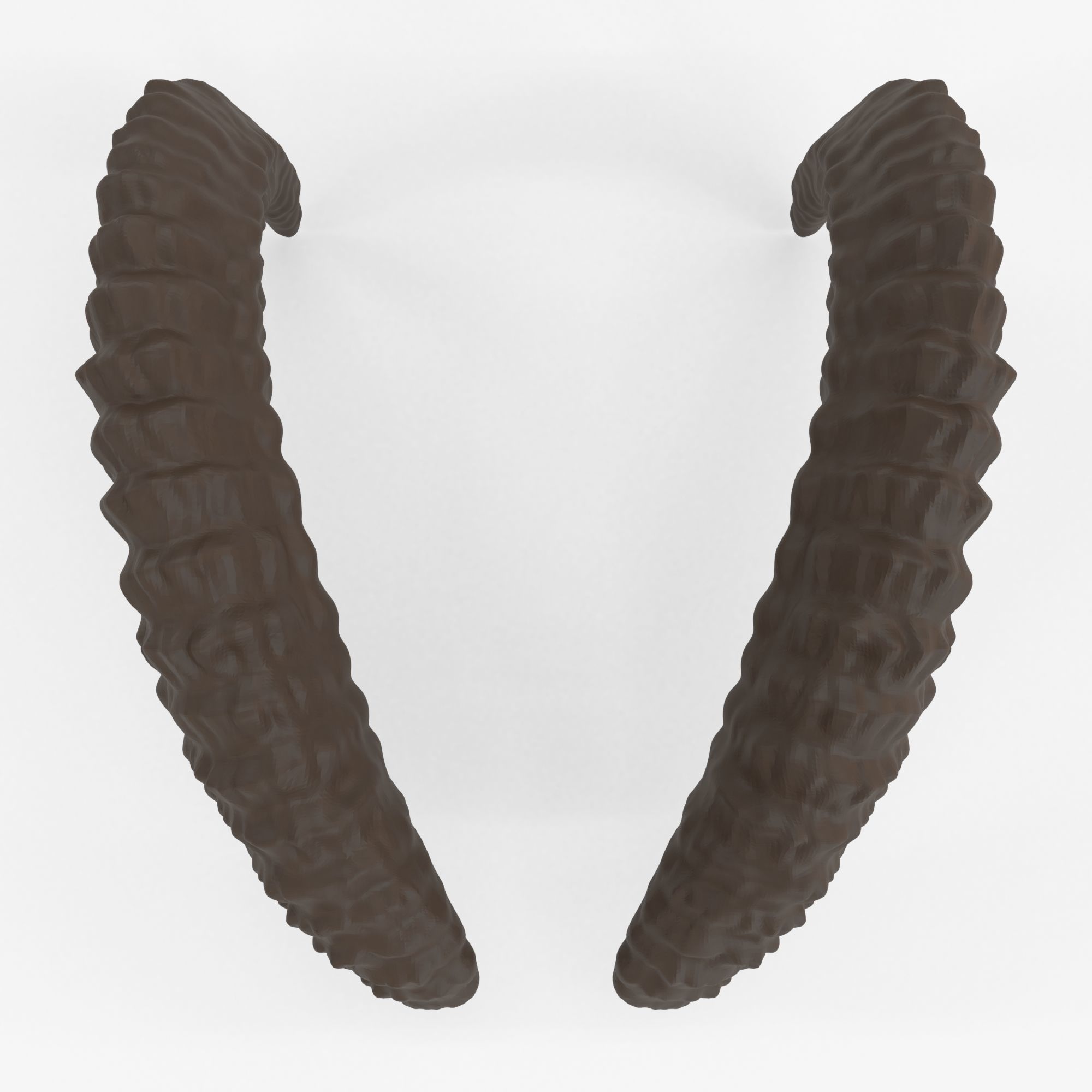 Large Curved Horns - Lauren 3D print model_6