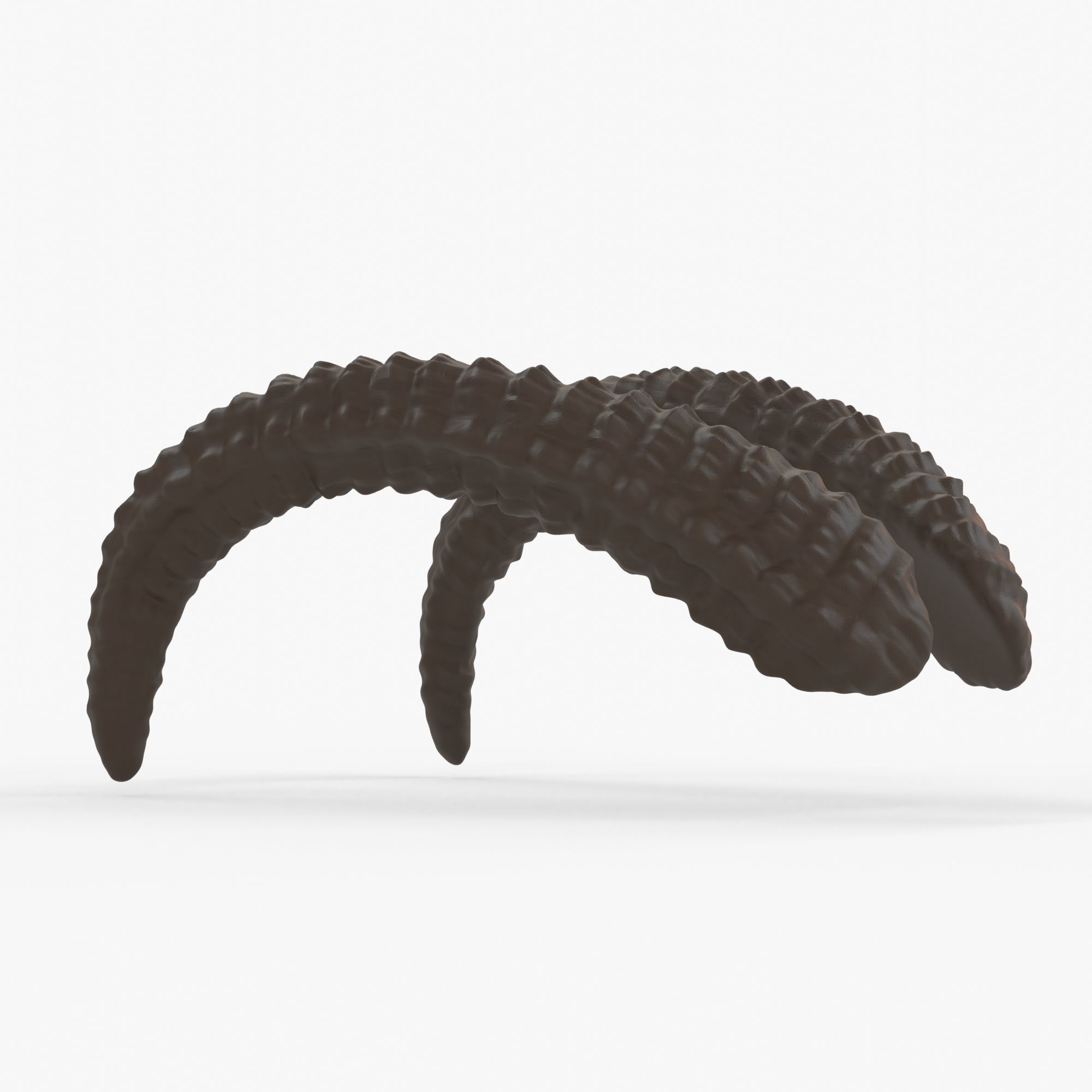 Large Curved Horns - Lauren 3D print model_5