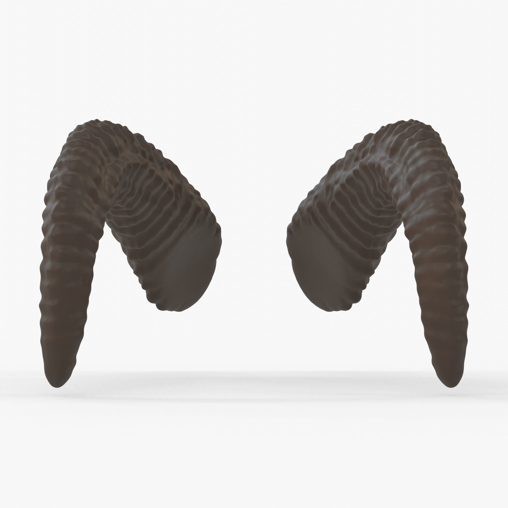 Large Curved Horns - Lauren 3D print model_7