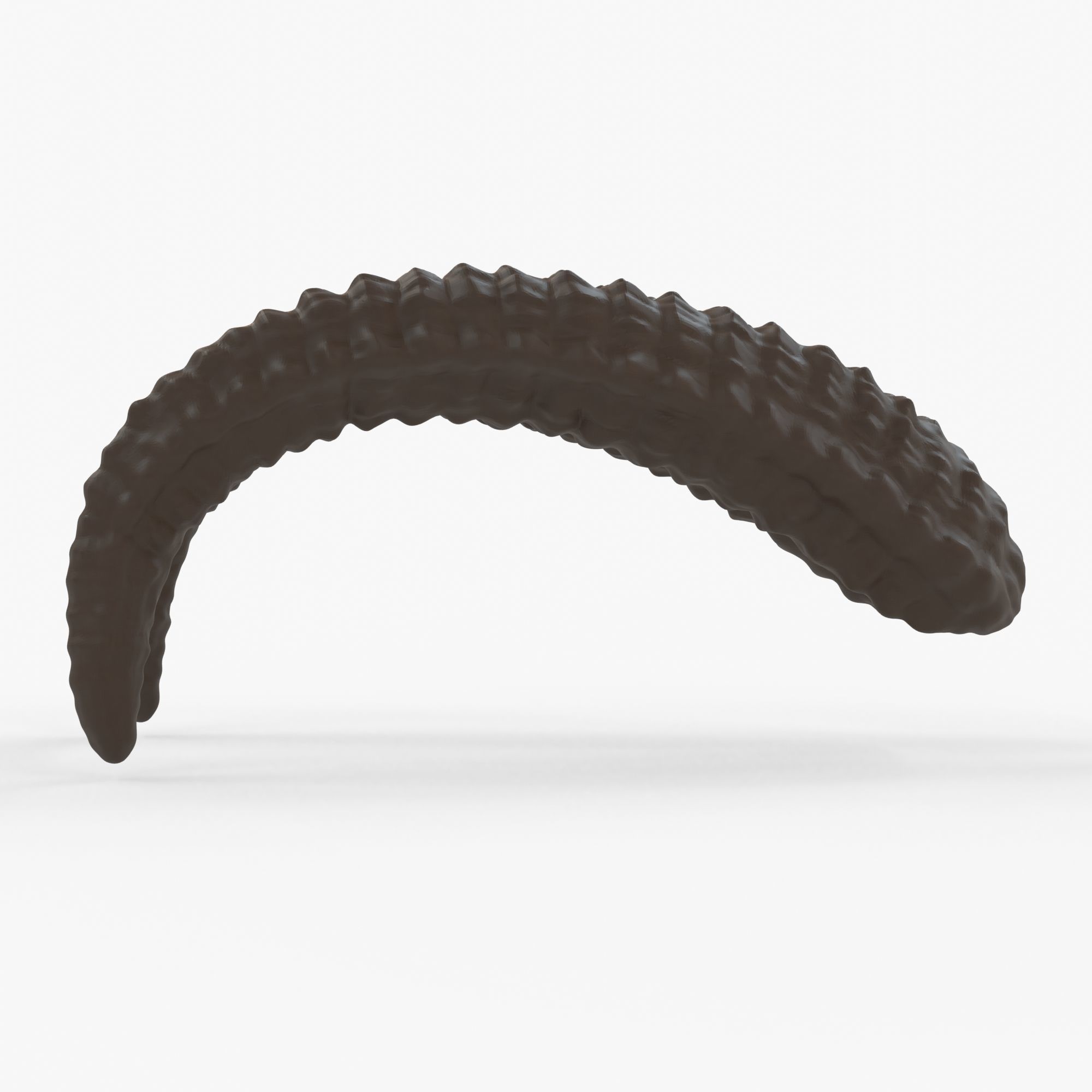Large Curved Horns - Lauren 3D print model_3
