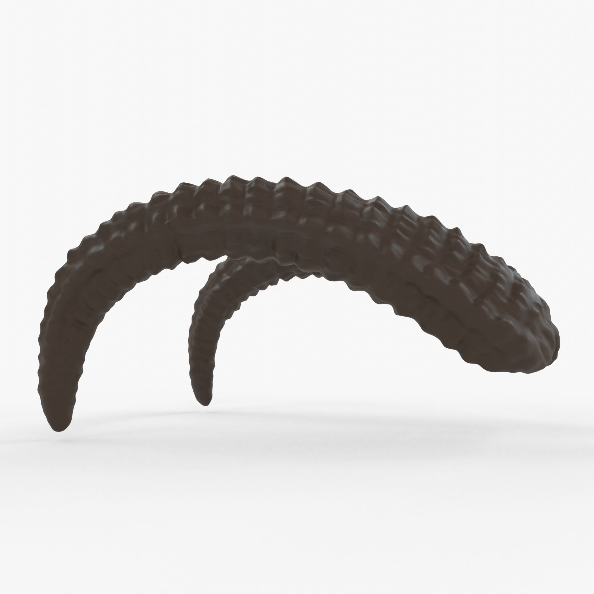 Large Curved Horns - Lauren 3D print model_4