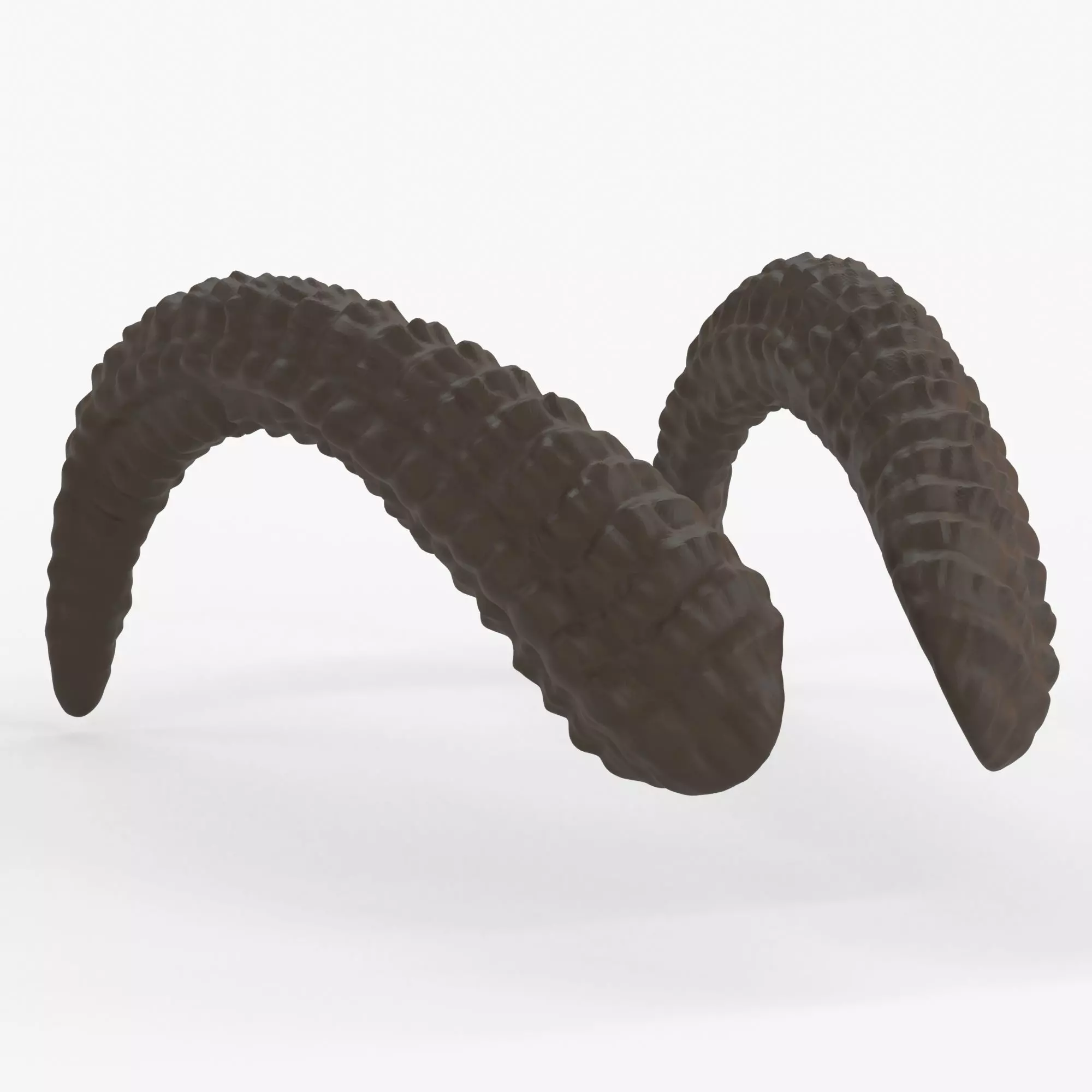 Large Curved Horns - Lauren 3D print model_0
