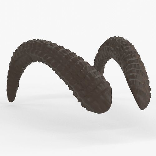 Large Curved Horns - Lauren 3D print model
