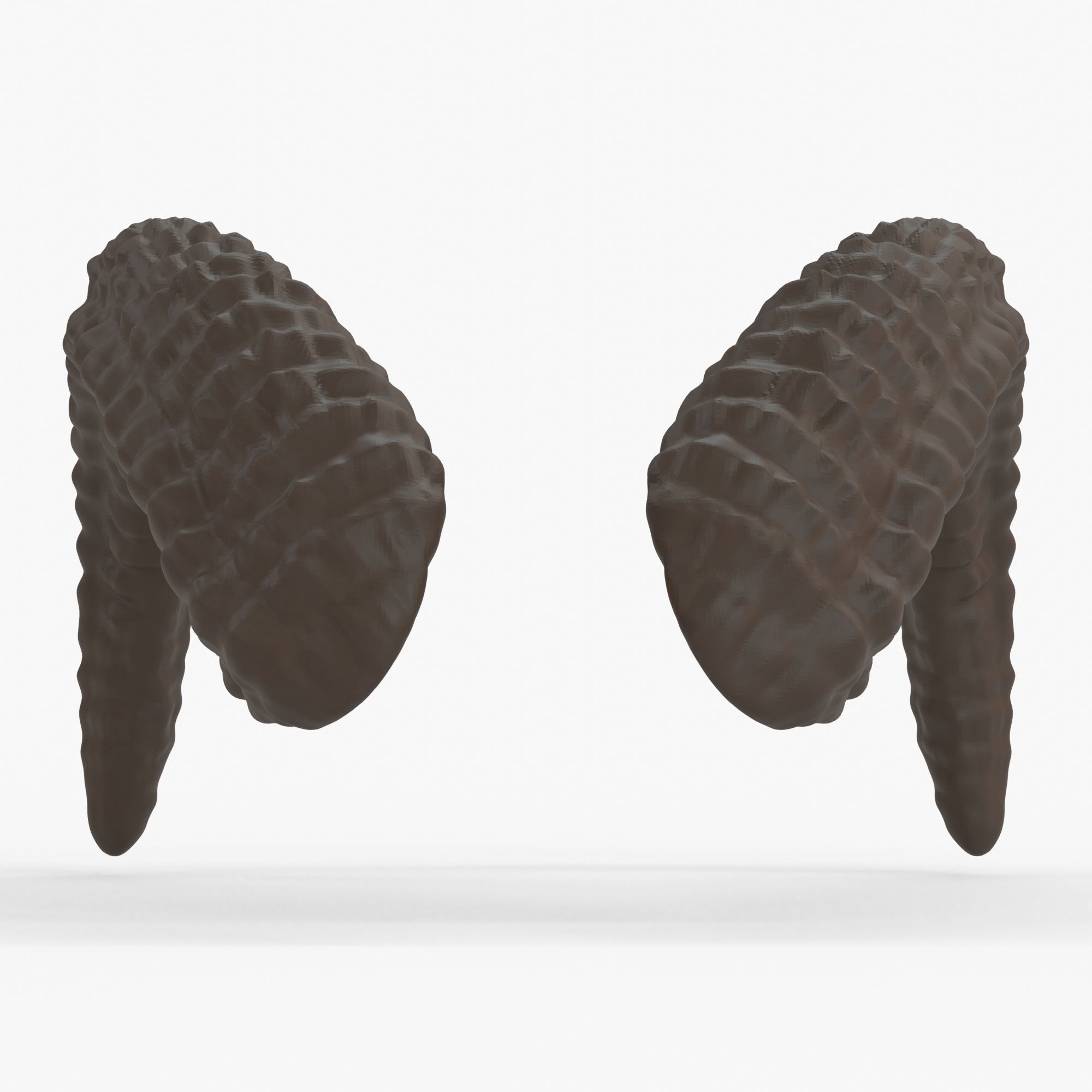 Large Curved Horns - Lauren 3D print model_2