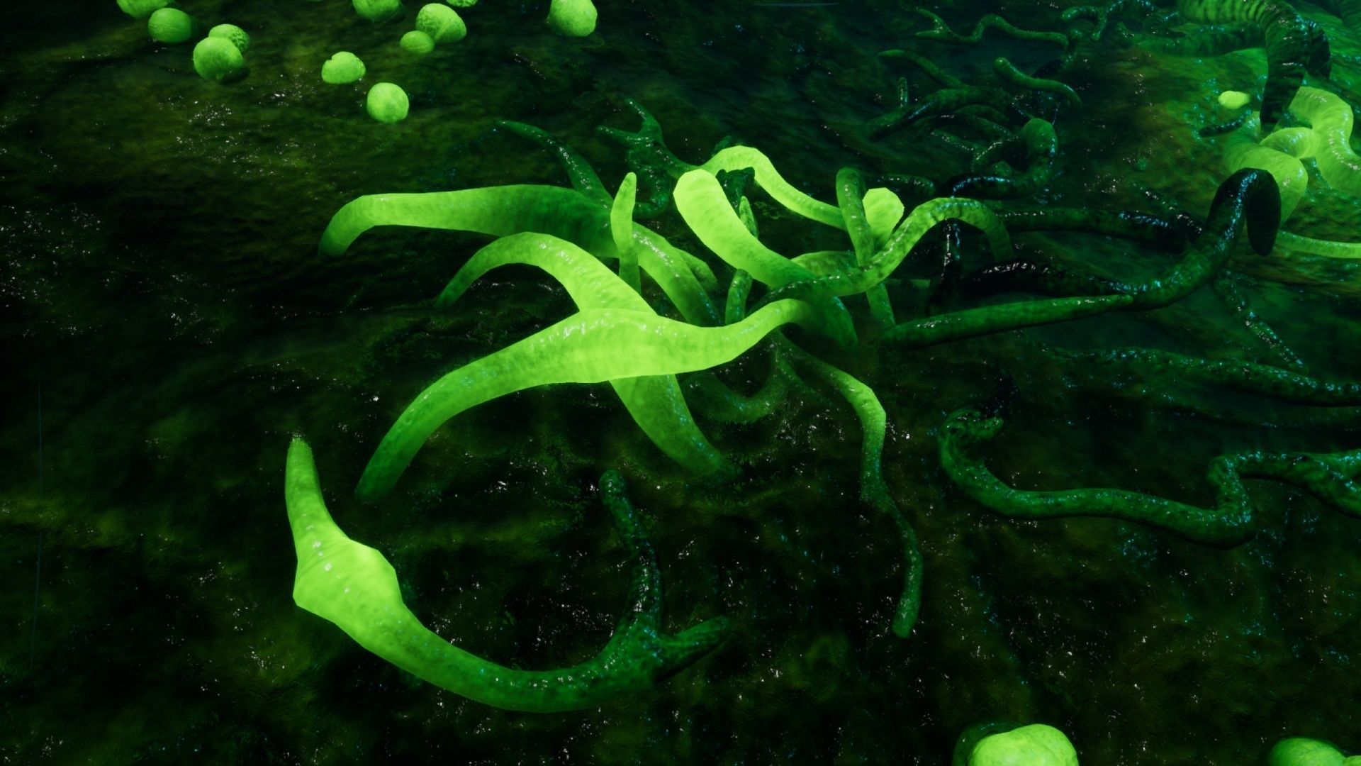 Alien Biomass Virus Infection Planet UE4 Low-poly 3D model_29