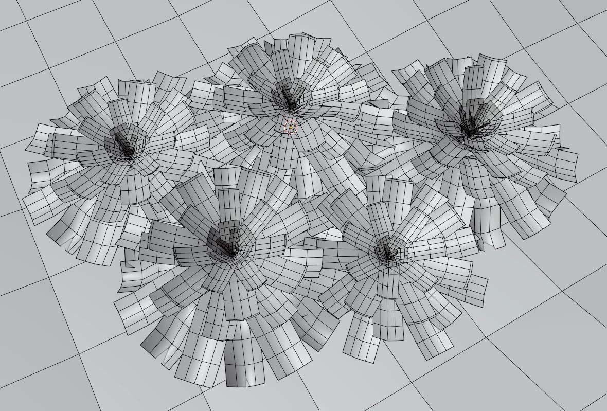 Neoregalia sp Low-poly 3D model_5