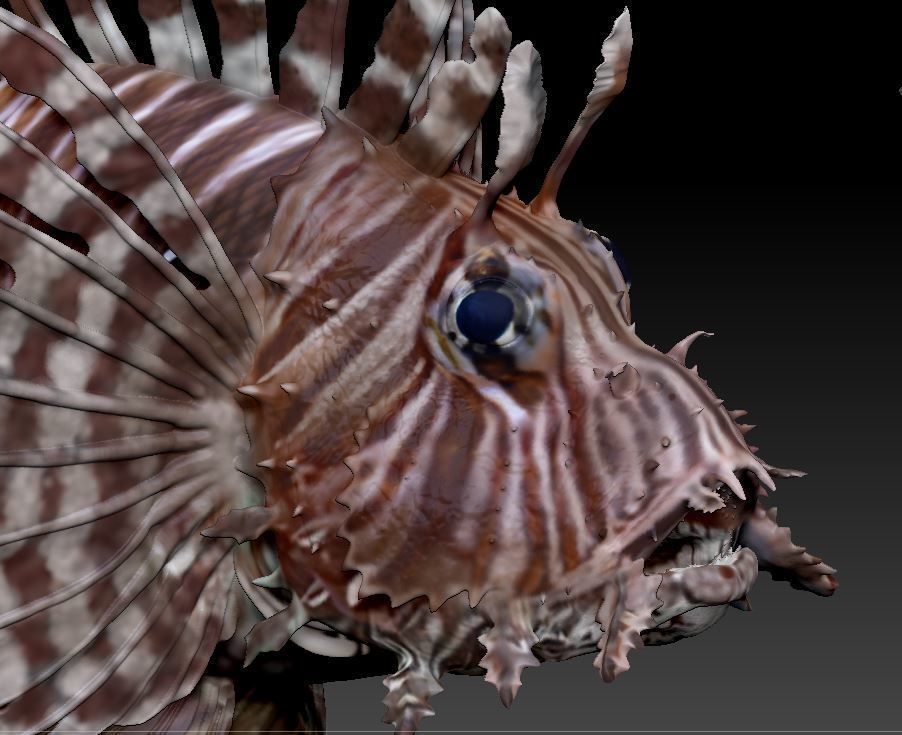 Lionfish fish 3D print model_1