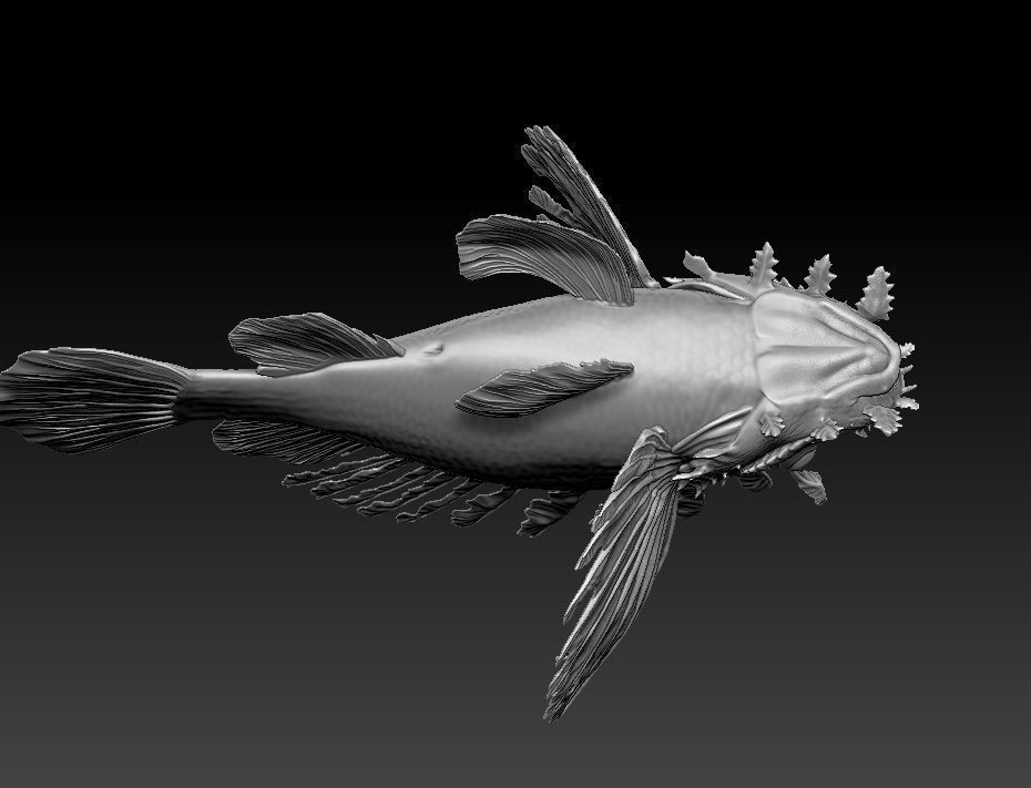 Lionfish fish 3D print model_4