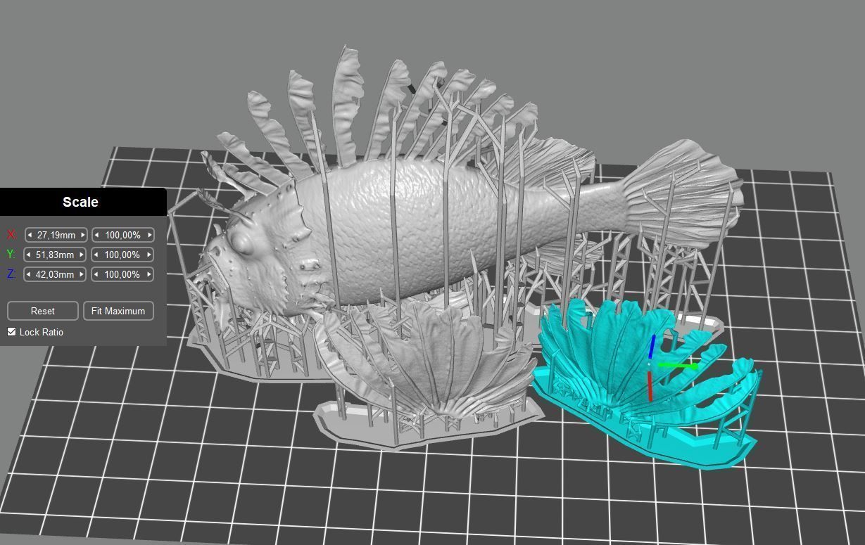 Lionfish fish 3D print model_9