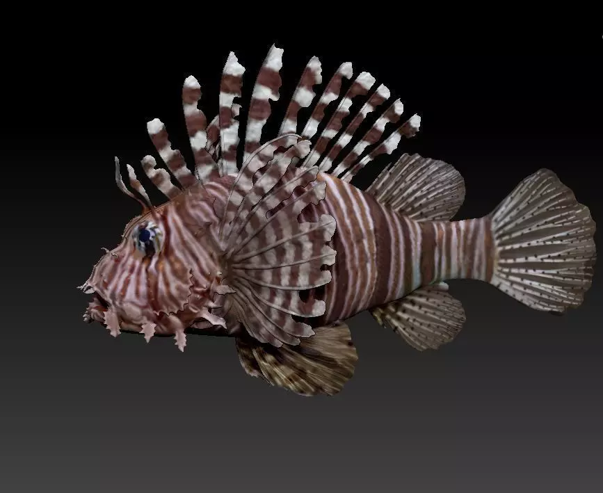 Lionfish fish 3D print model_0