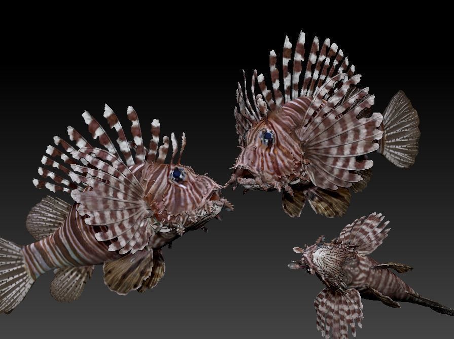 Lionfish fish 3D print model_2