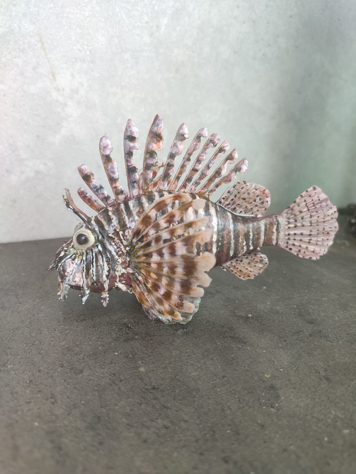 Lionfish fish 3D print model_10
