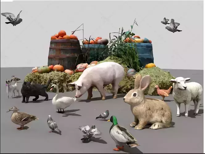 Poultry livestock animals  fruits and vegetables