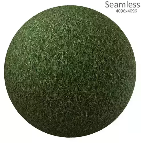 grass texture Texture