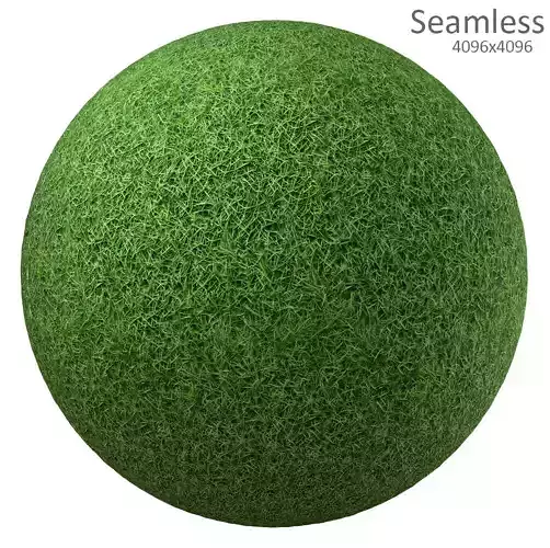 grass texture Texture