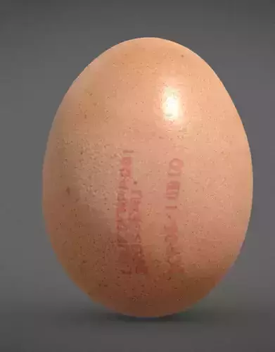 Egg 3D scan Low-poly 3D model