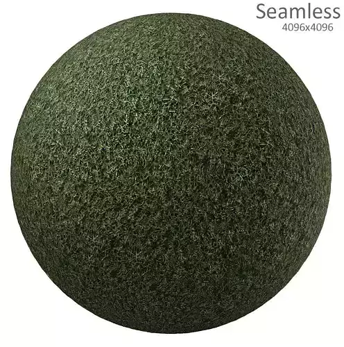 grass texture Texture