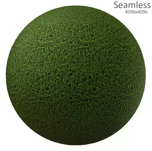 grass texture Texture