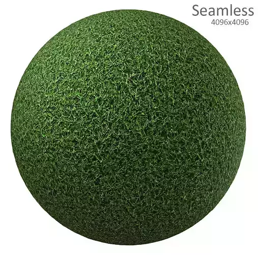 grass texture Texture