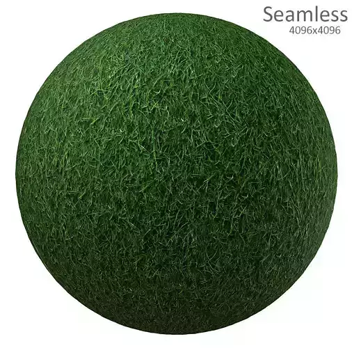 grass texture
