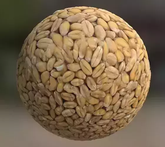 Grain PBR wheat in sphere