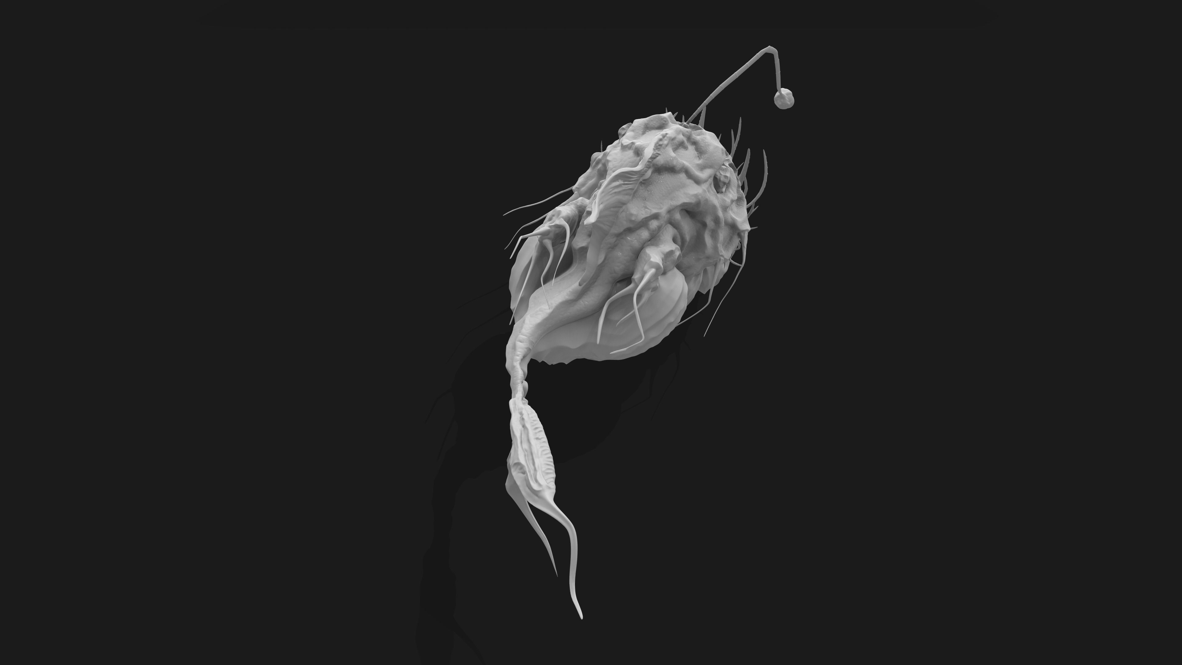 AnglerFish HighPoly fish head 3D model_6