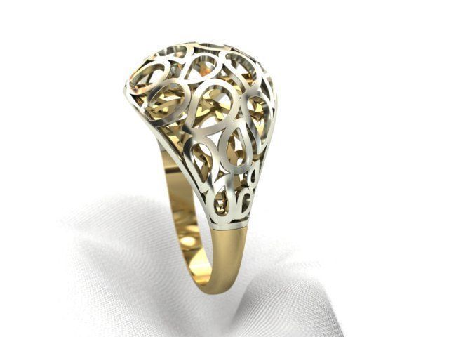 Ring WR  113 3D print model_2