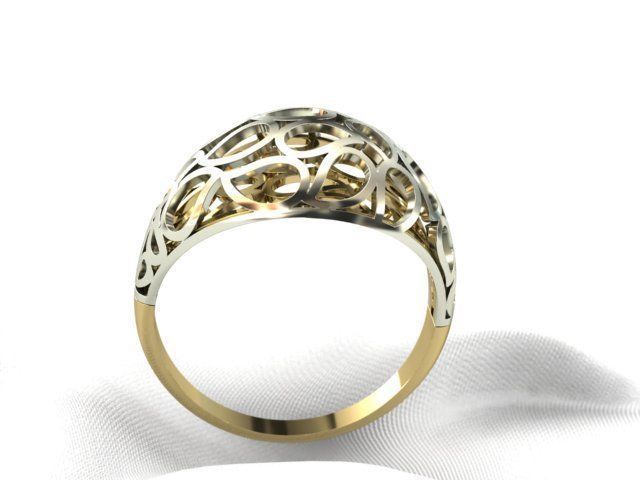 Ring WR  113 3D print model_1