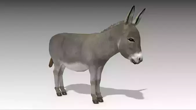 Donkey Low-poly 3D model