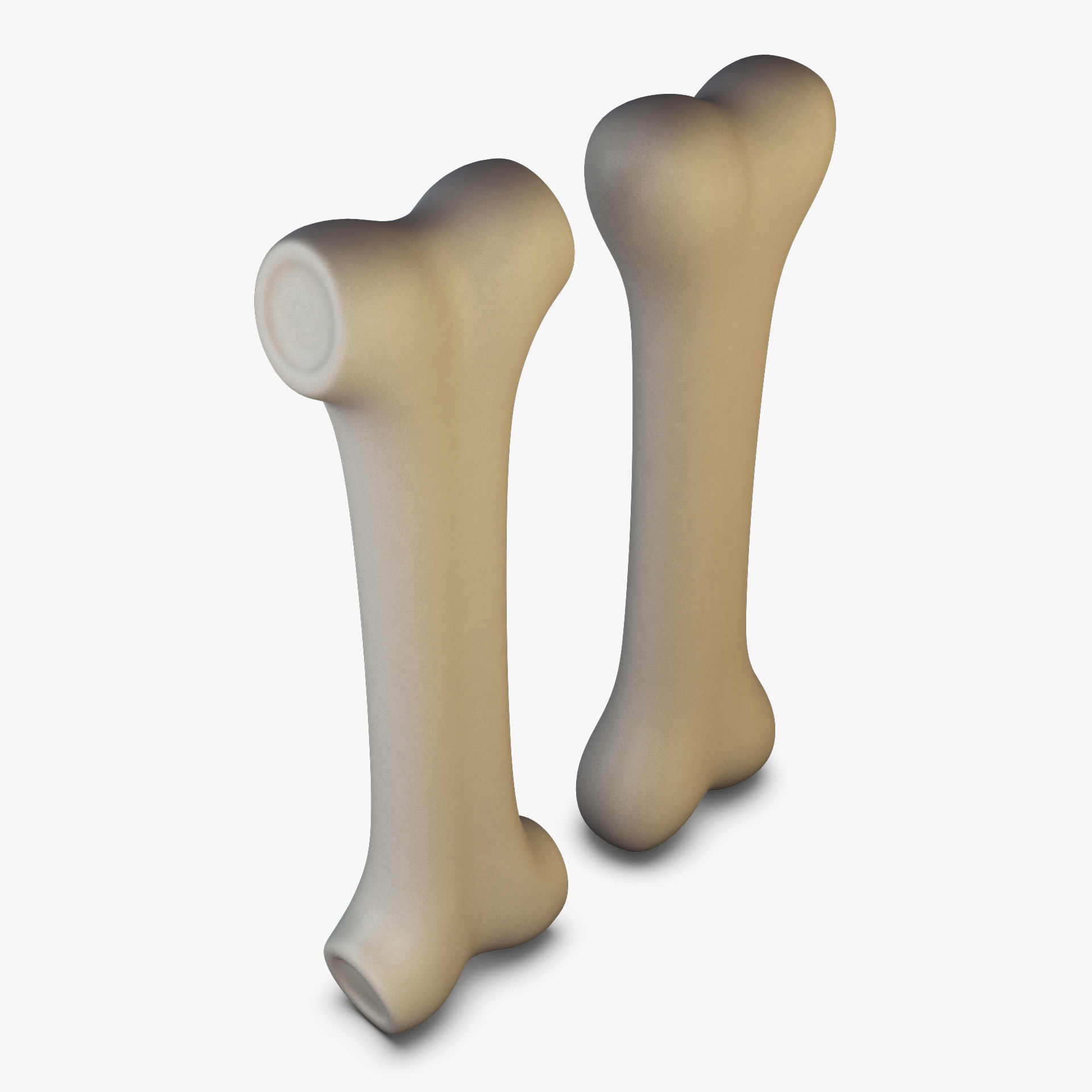 Cartoon Bone v 2 3D model_4