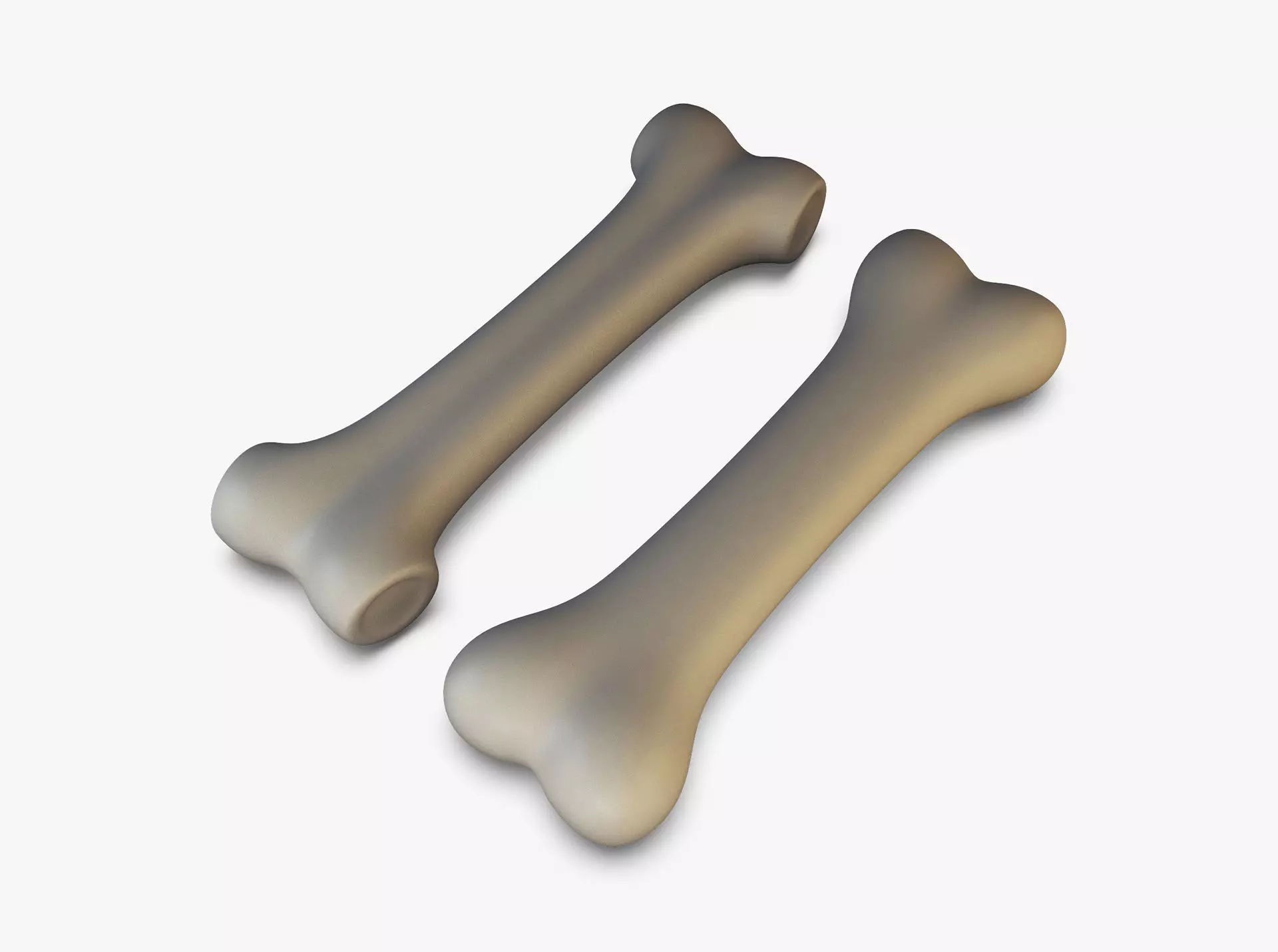 Cartoon Bone v 2 3D model_0