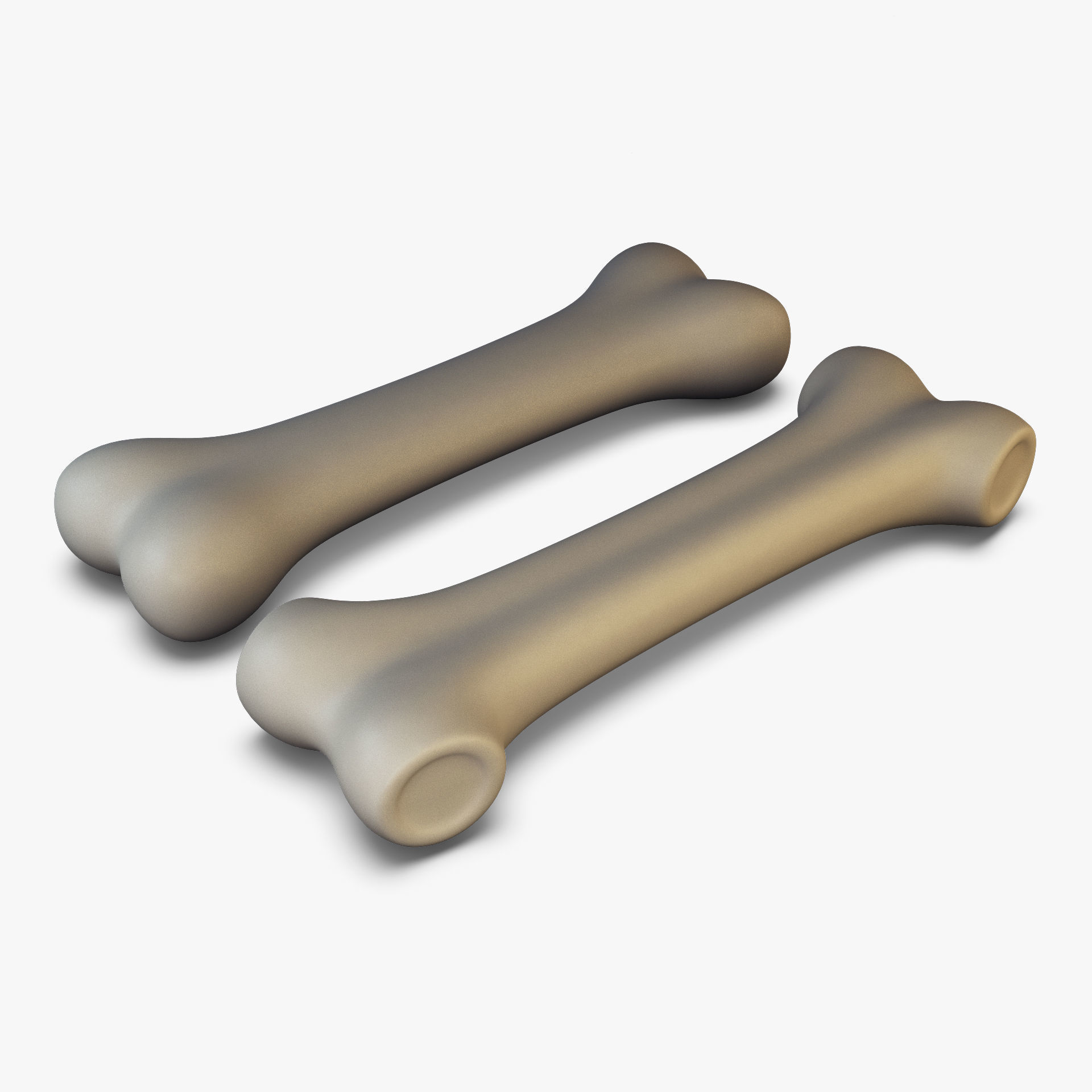 Cartoon Bone v 2 3D model_3