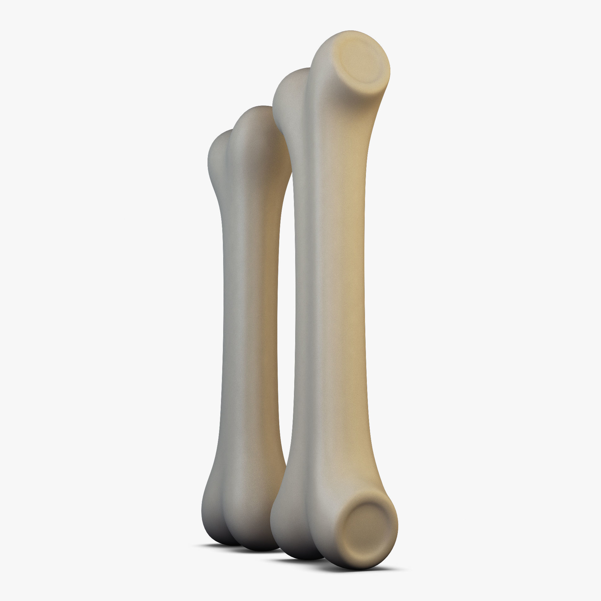 Cartoon Bone v 2 3D model_6