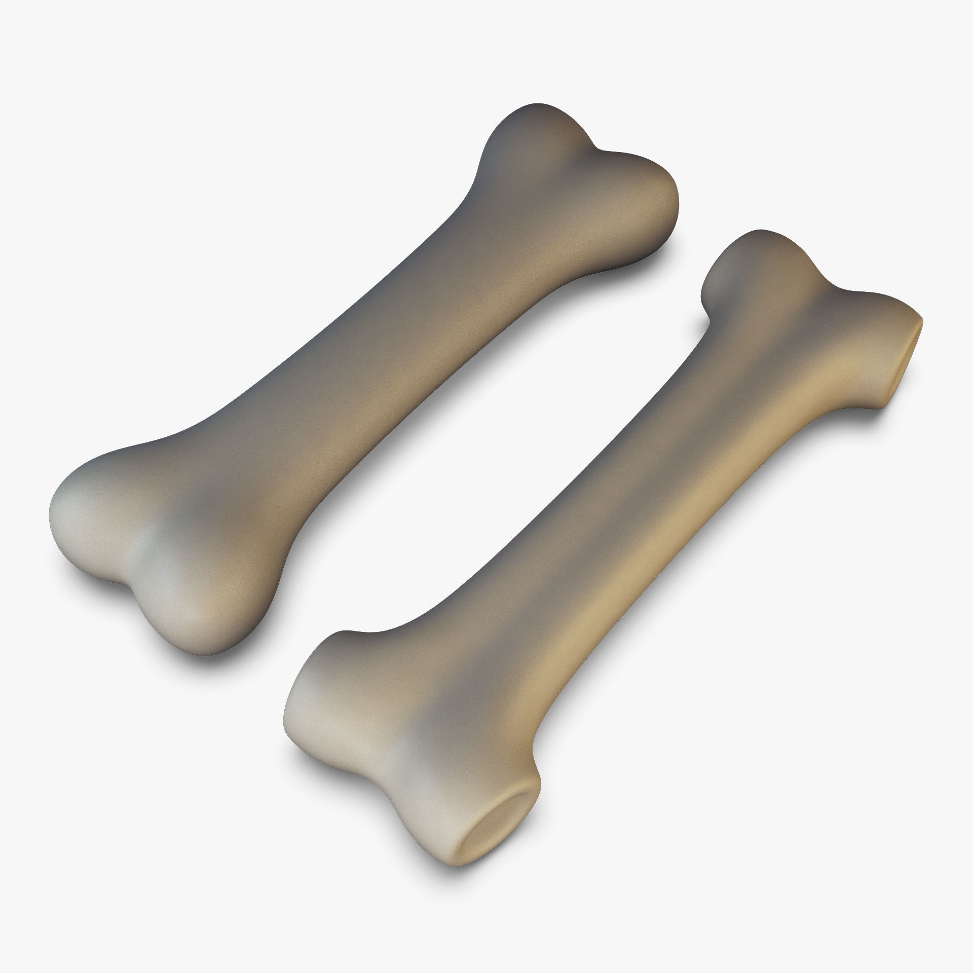 Cartoon Bone v 2 3D model_1