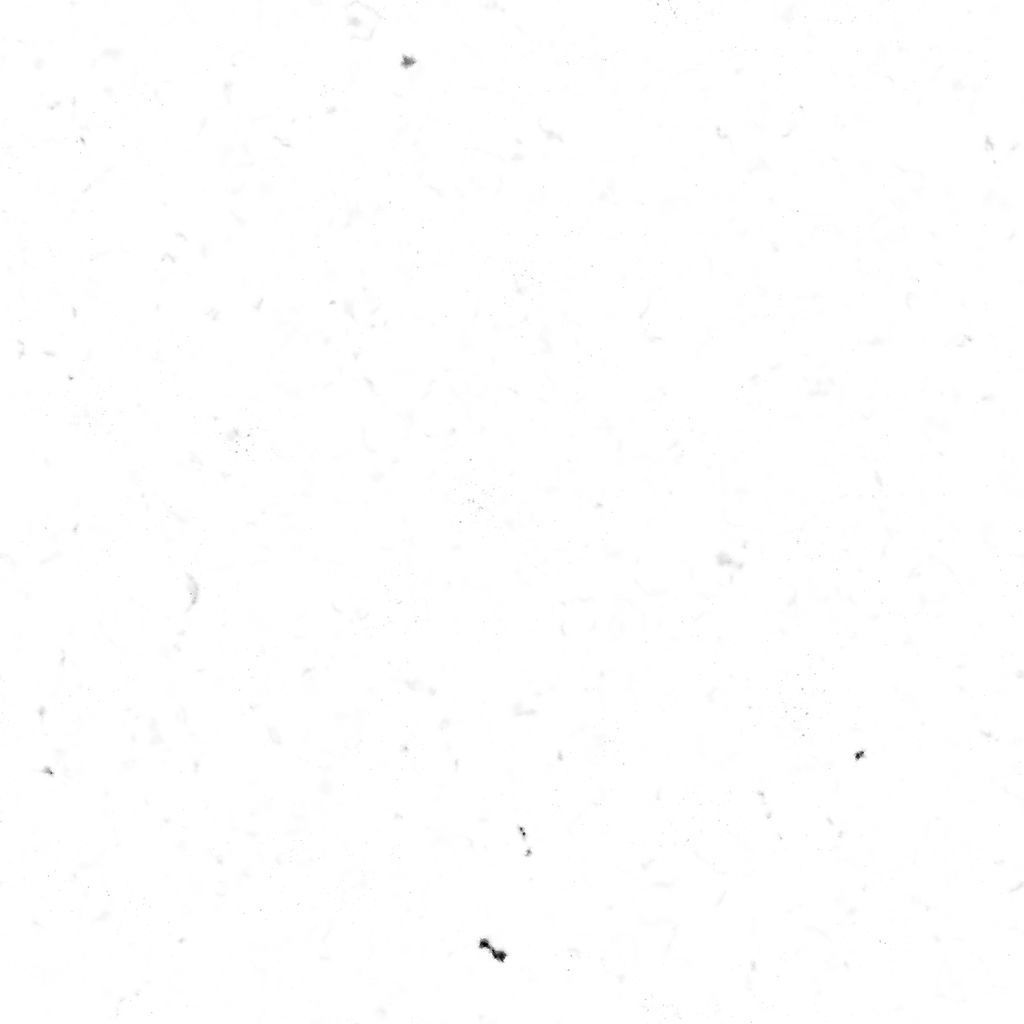 Bamboo Hoop Earring 3D model_2