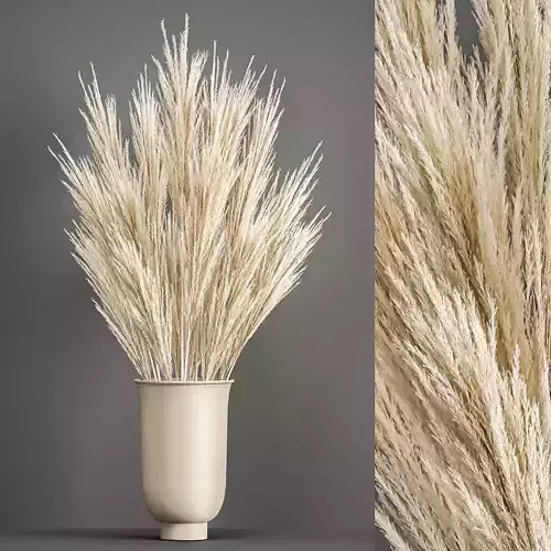 Decorative Bouquet of dried pampas grass 195