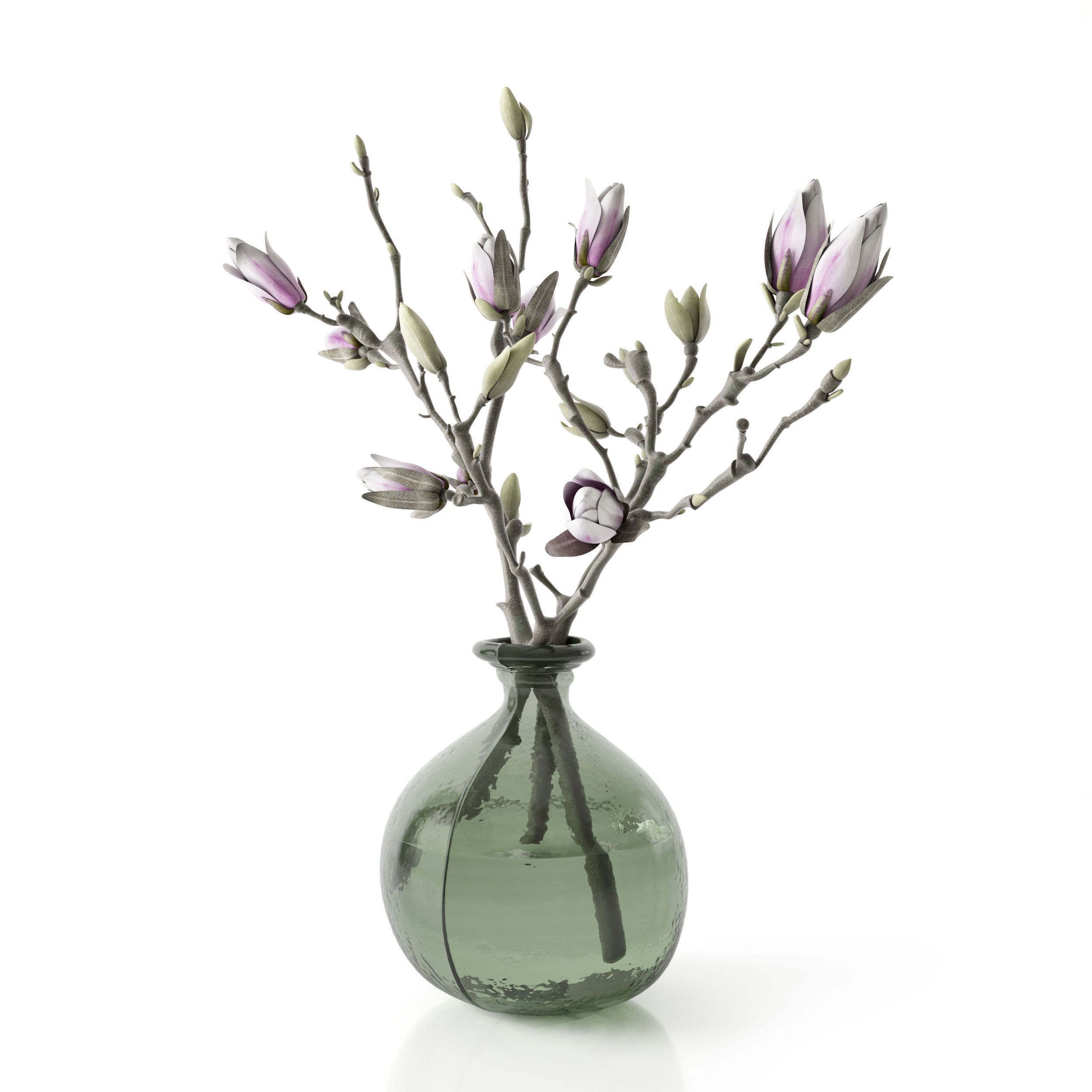 Magnolia in vase 3D model_25
