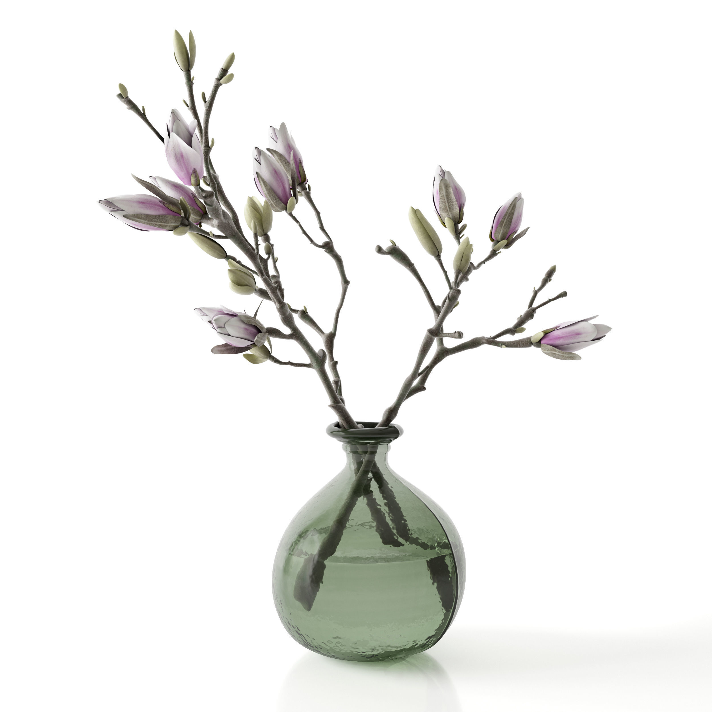 Magnolia in vase 3D model_9