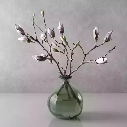 Magnolia in vase