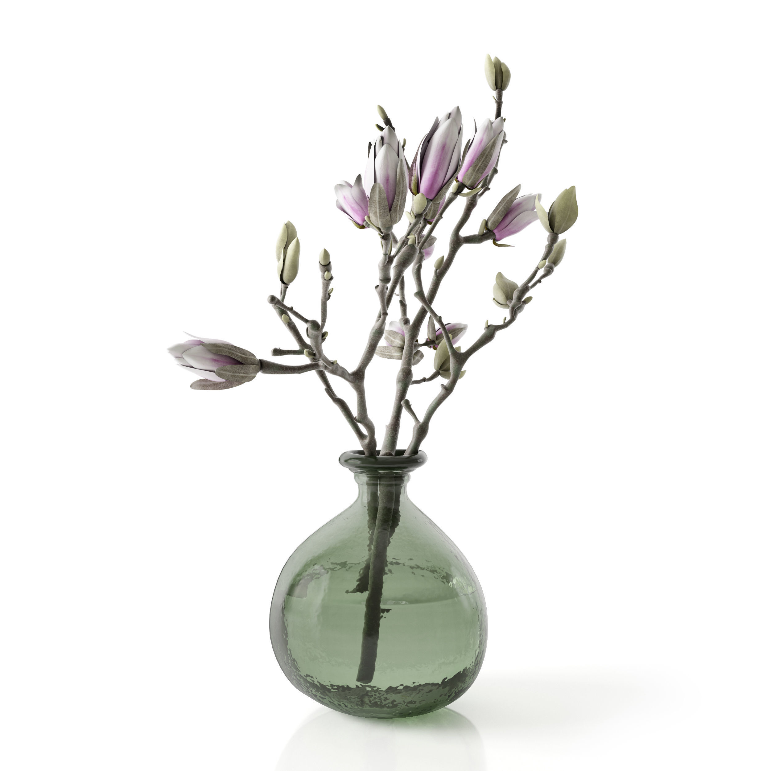 Magnolia in vase 3D model_29